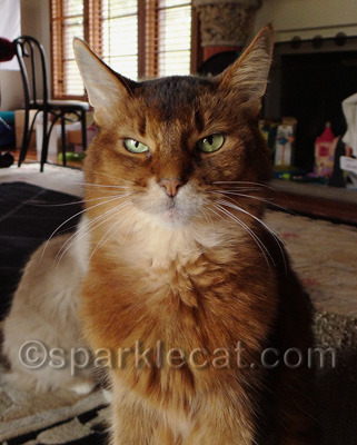 Actually it is not hard to be grumpy around here!