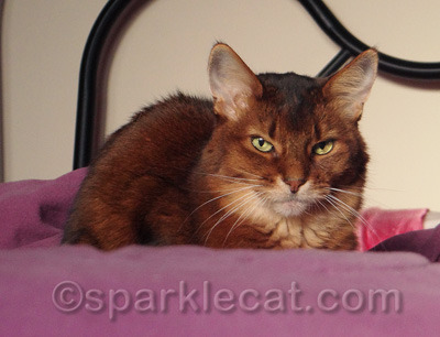 I was pretty grumpy when this was taken!