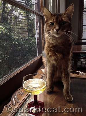 I didn't know you could make champagne from nip! But apparently you can.