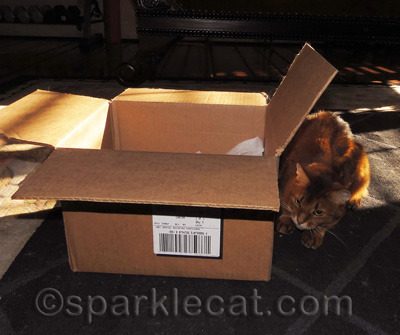 Every day deserves a good box!