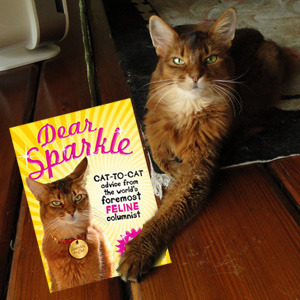 You can still buy my book at the Nip and Bones store!