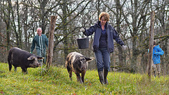 Bubble & Squeak relocate