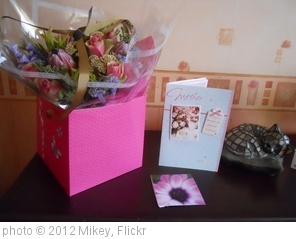 '078/366: Mother's Day' photo (c) 2012, Mikey - license: http://creativecommons.org/licenses/by/2.0/