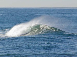Ocean