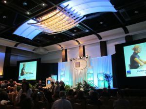 STC Summit 2013 wrapup