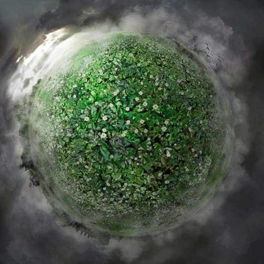 spring-blossoms-Catherine-Nelson-3