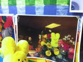  photo IMG_3110_zps9fa56ee7.jpg