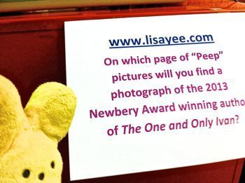  photo IMG_3127_zps9c8a11af.jpg