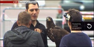 Eagle not the messenger.