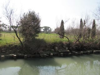 IMG_4283