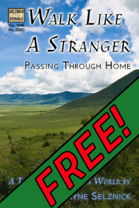 Cover Art For The Free Fantasy Fiction Serial Walk Like A Stranger: Passing Through Home Free Teaser
