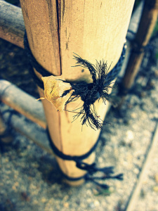 by A.D. Sams