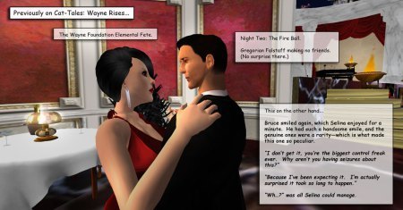 Bruce and Selina in Wayne Rises-Chapter 3-Deja vu All Over Again - Again