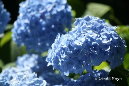 Post image for Author Interview