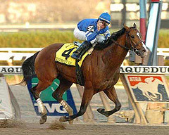 Discreet Cat's return to racing delayed