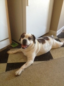 Rudy, happy to be home