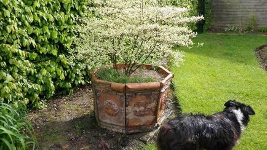 The jardinière and Twink.