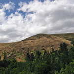 umatilla reservation