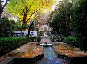 Jardin de lo arrayanes