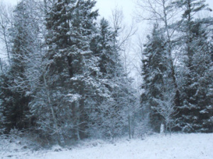 Snow