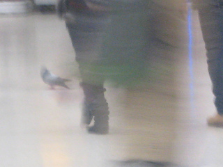 London, November 2011