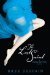 The Lost Saint A Dark Divine Novel by Bree Despain