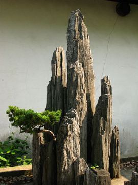 A_picture_from_China_every_day_149