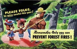 Smokey the Bear Painting by Russ Wetzel - 1947. Depicts Smokey the Bear and another young bear with the slogans 