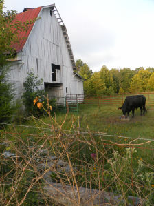 SAMSUNG DIGITAL CAMERA