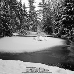 Morning of the last day of December 2012 Author Quest