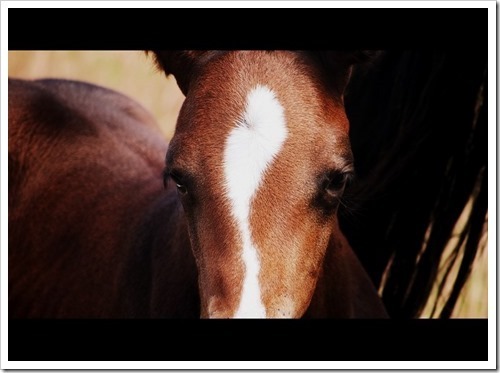 16 July 1 15-07-2013 12-15-40