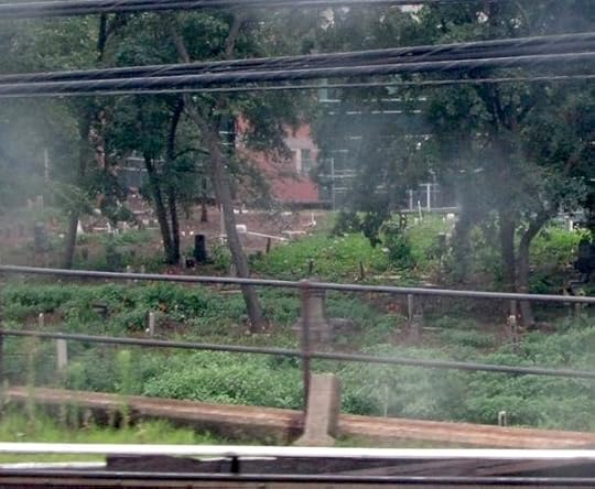 Prospect Cemetery, Queens, NY