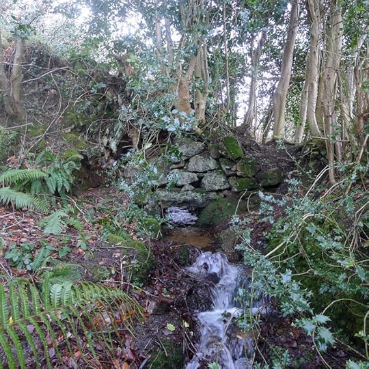 Water flows under an old stone wall, 1