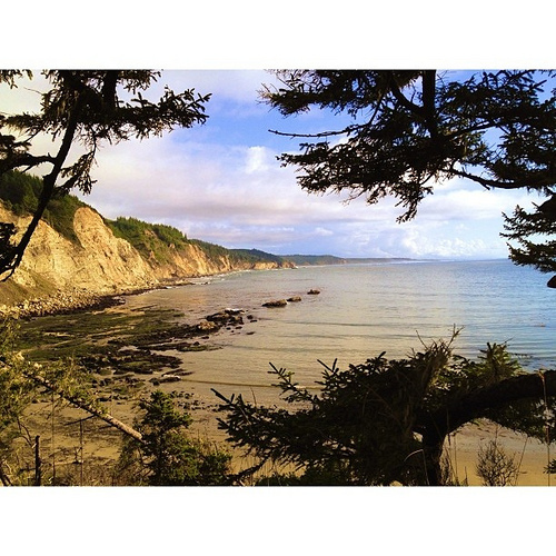 Seriously, friends. The #oregoncoast is beautiful. I say we all meet up here and wander.