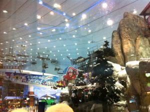  photo IMG_2432_zps3c1283fa.jpg