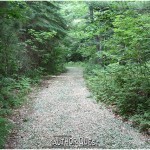 Author Quest - The Road For Young Authors