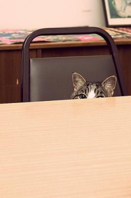 Katia playing Peek a Boo by M i x y on Flickr