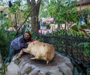 Halloween Horror Nights