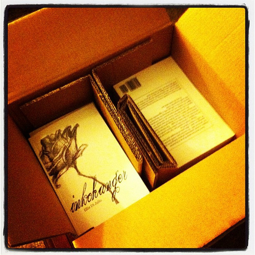 I got my box of INKCHANGER author's copies!