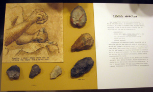 3033748516_2225423e82_b