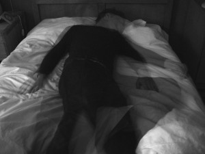 Restless Sleeper
