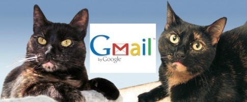 Gmail users