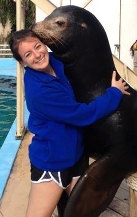 Austin Leedy sea lion veterinarian Marine Animal Veterinarian: Student Internship at Gulf World Marine Park