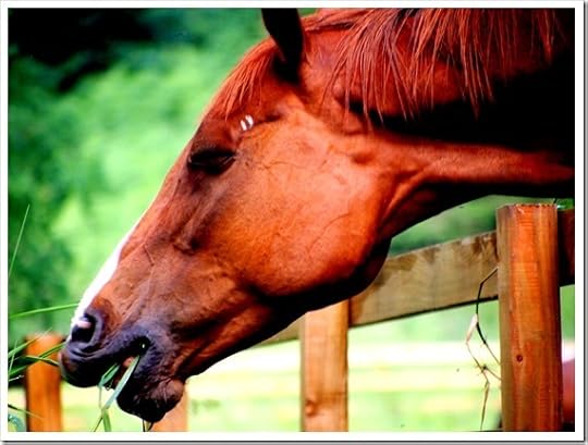 29 July 1 29-07-2013 12-42-57