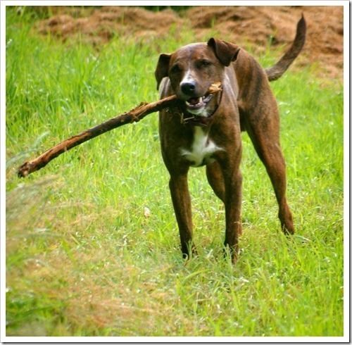 28 July 1 23-07-2013 15-46-45