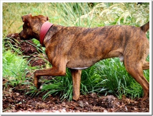 28 July 2 23-07-2013 15-47-23