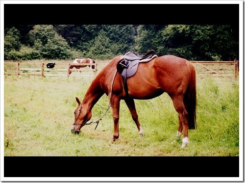 28 July 3 24-07-2013 10-00-58