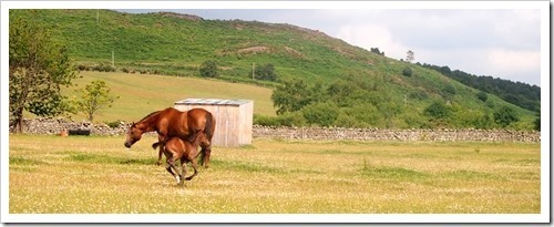 24 July 1 24-07-2013 14-16-52