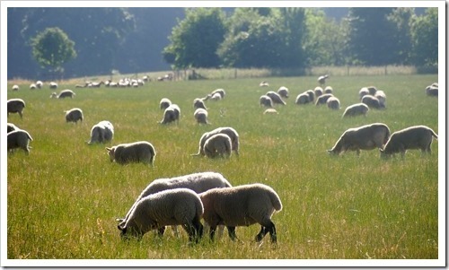 22 July 1 19-07-2013 07-59-20