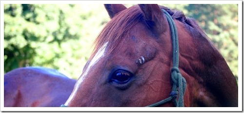 22 July 2 19-07-2013 09-03-14